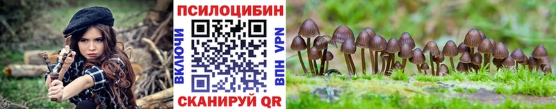 Псилоцибиновые грибы ЛСД  Тавда 
