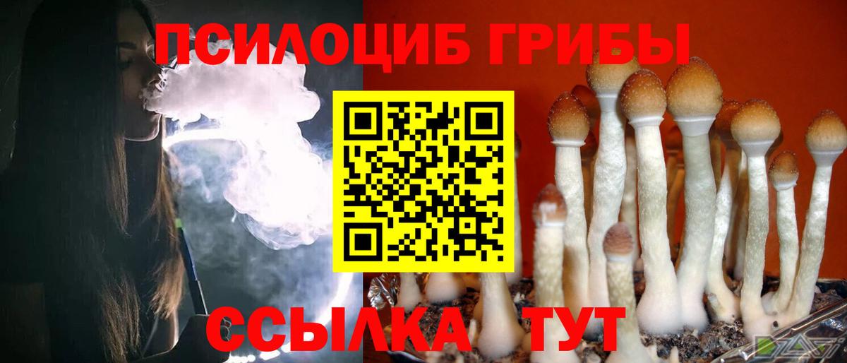 Псилоцибиновые грибы мицелий  Вход с VPN  Тавда 