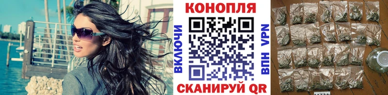 купить наркоту Тавда Шишки марихуана гибрид